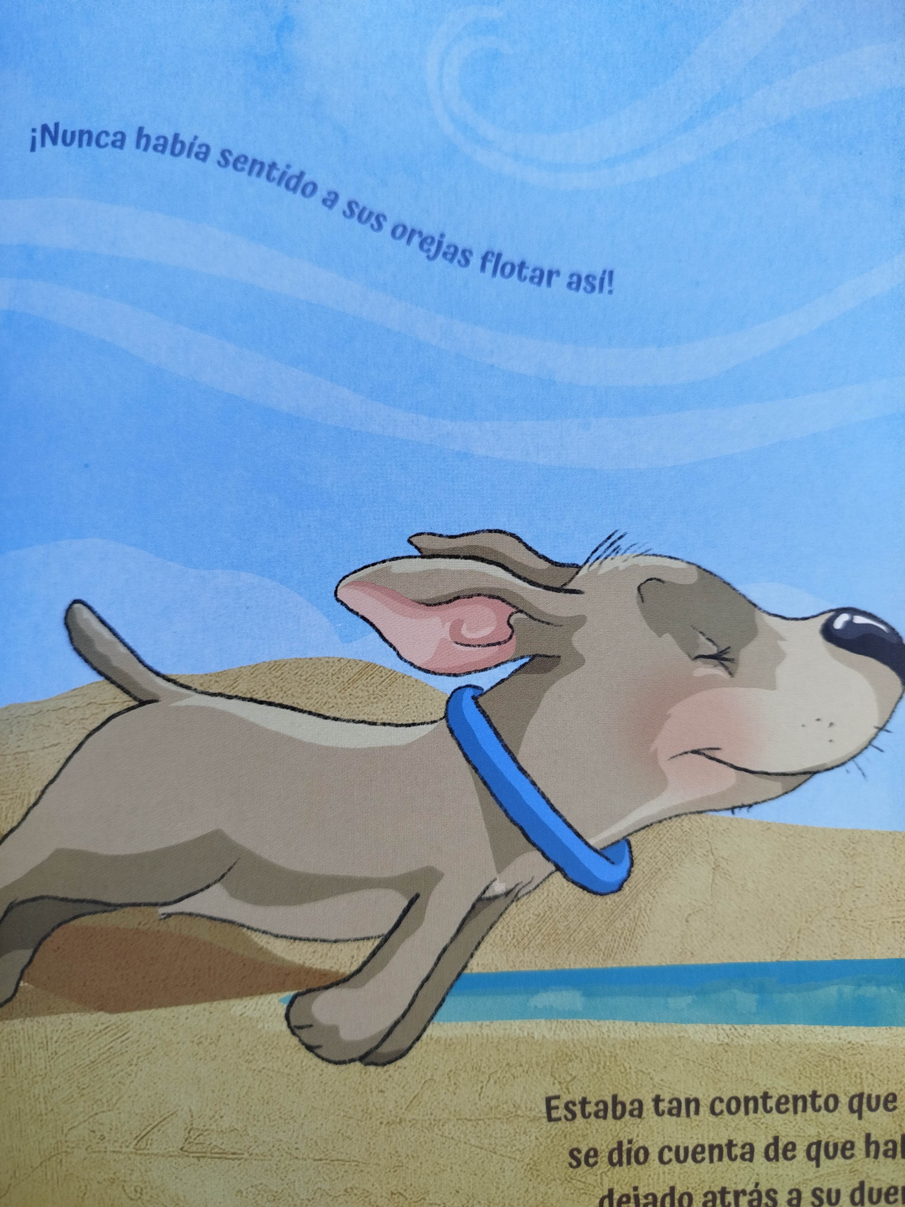 Perro Y Foca - Image 2