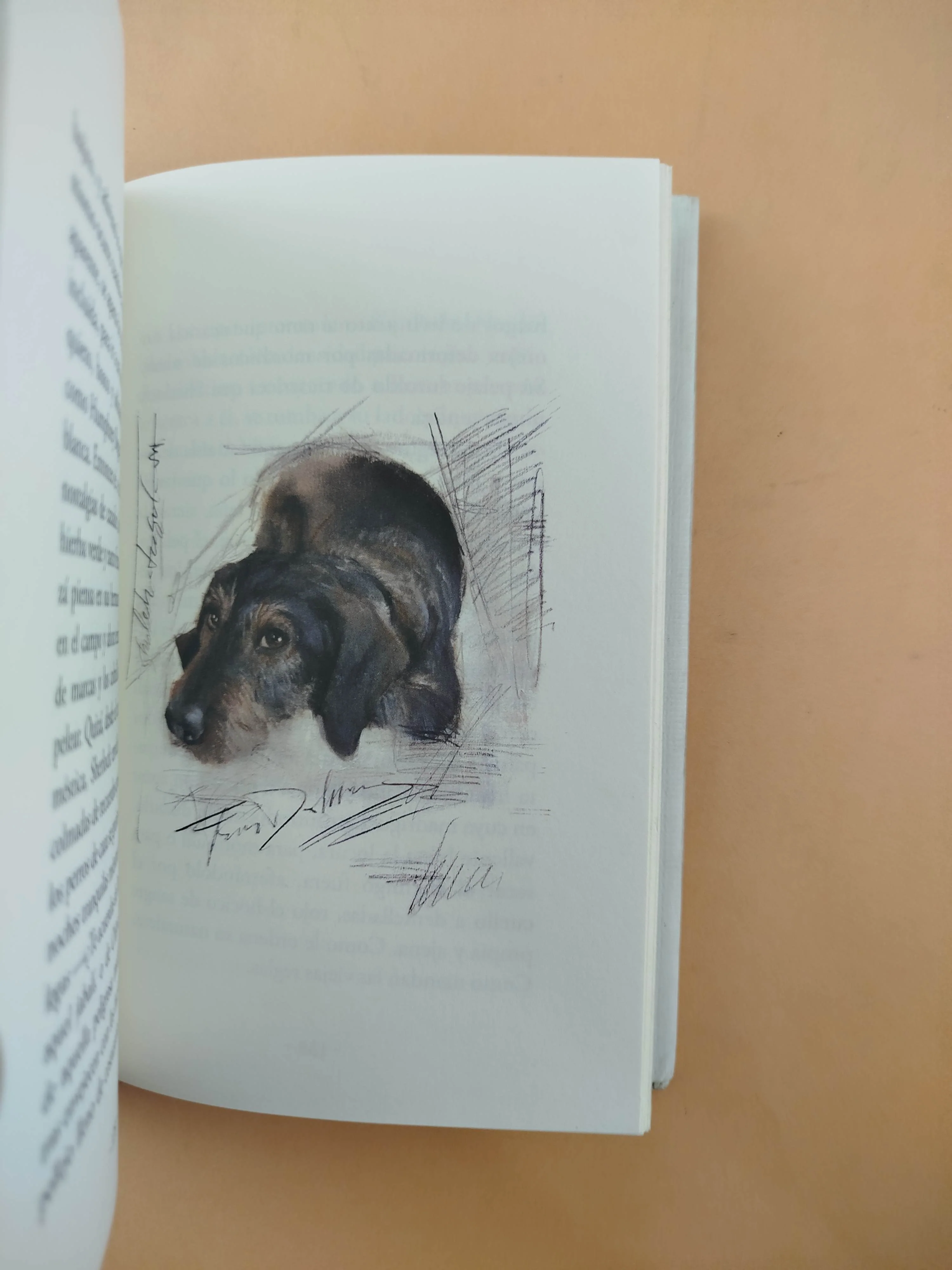 Perros e hijos de perra - Image 4