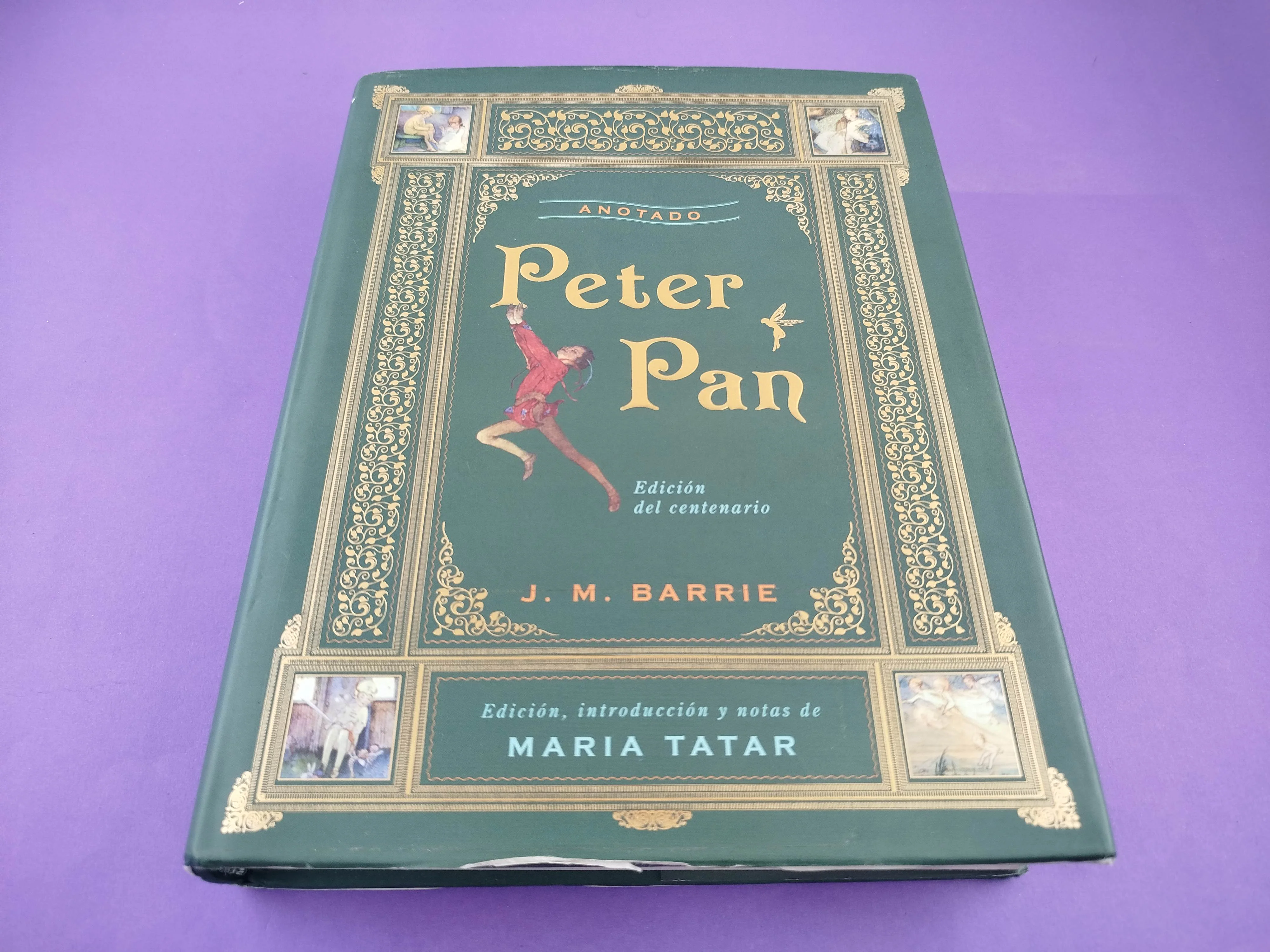 Peter pan anotado - Image 2