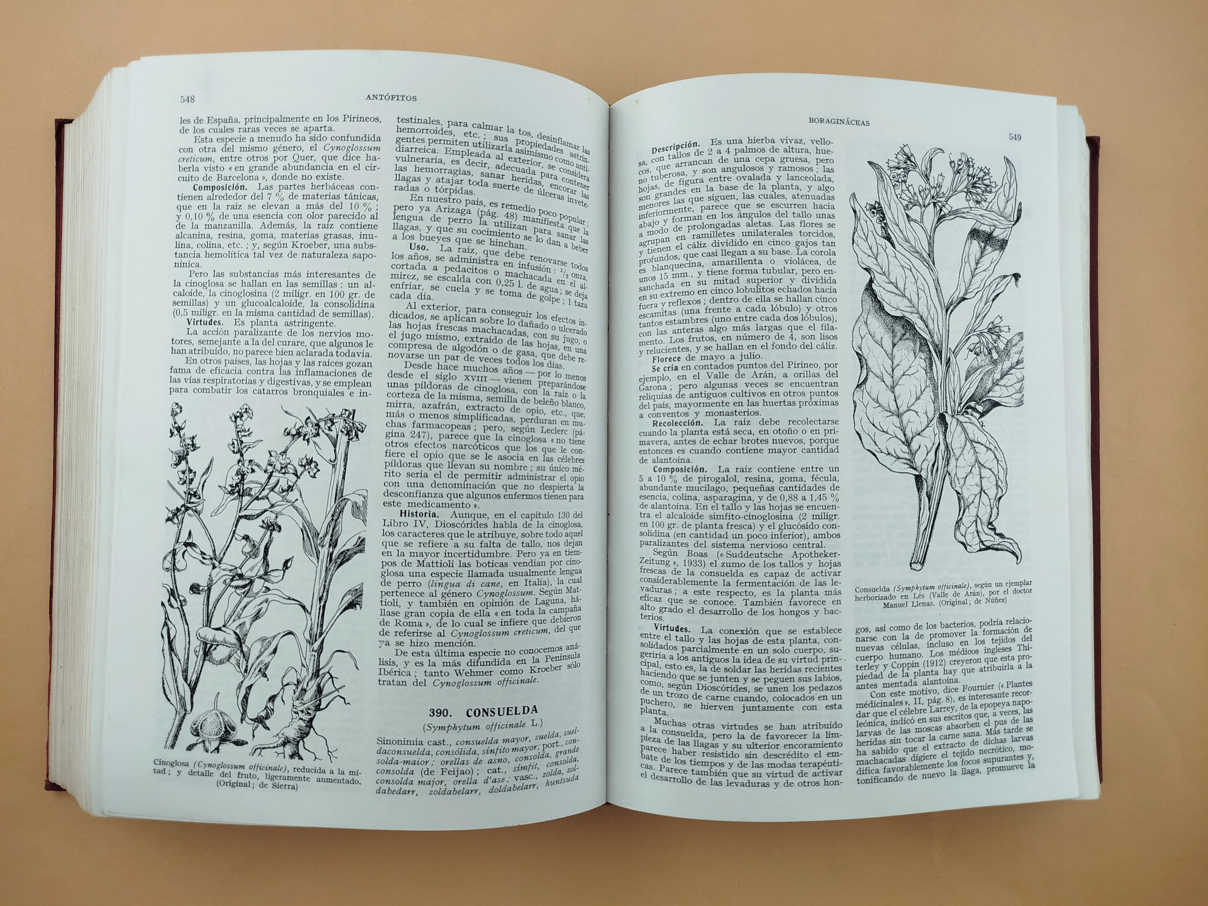 Plantas medicinales : El dioscórides renovado - Image 5