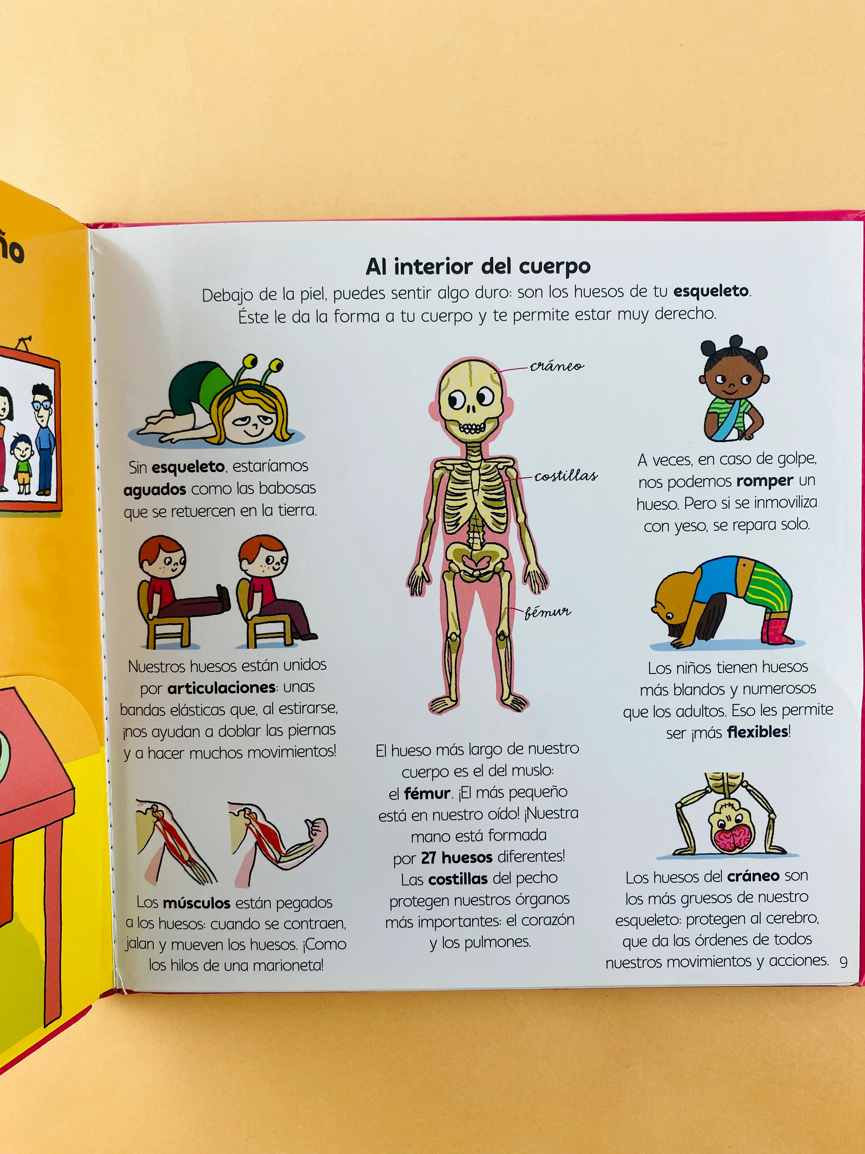 ¿Por qué mi corazón hace bum bum? y muchas otras preguntas sobre el cuerpo - Image 3