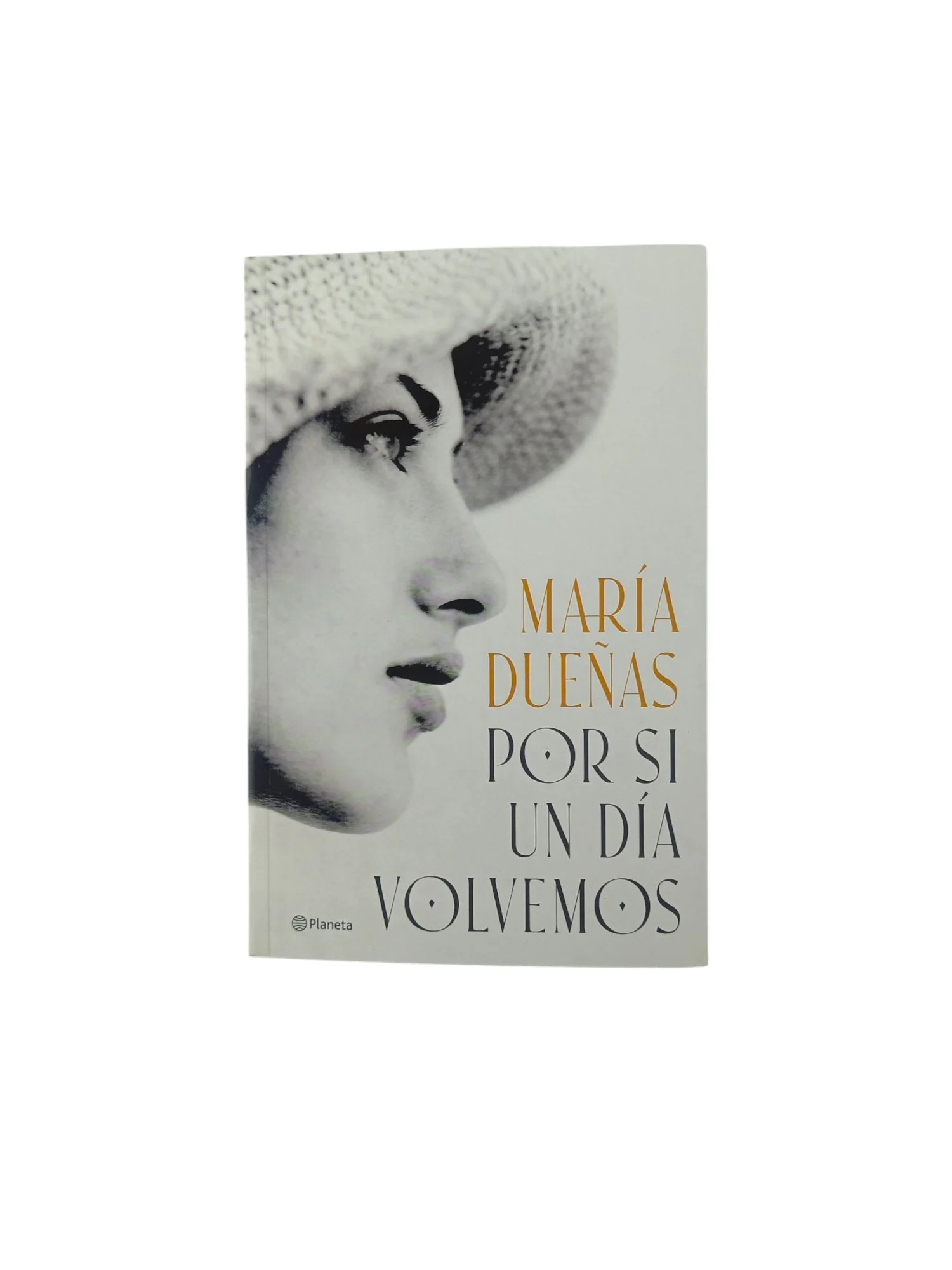 Por si un día volvemos