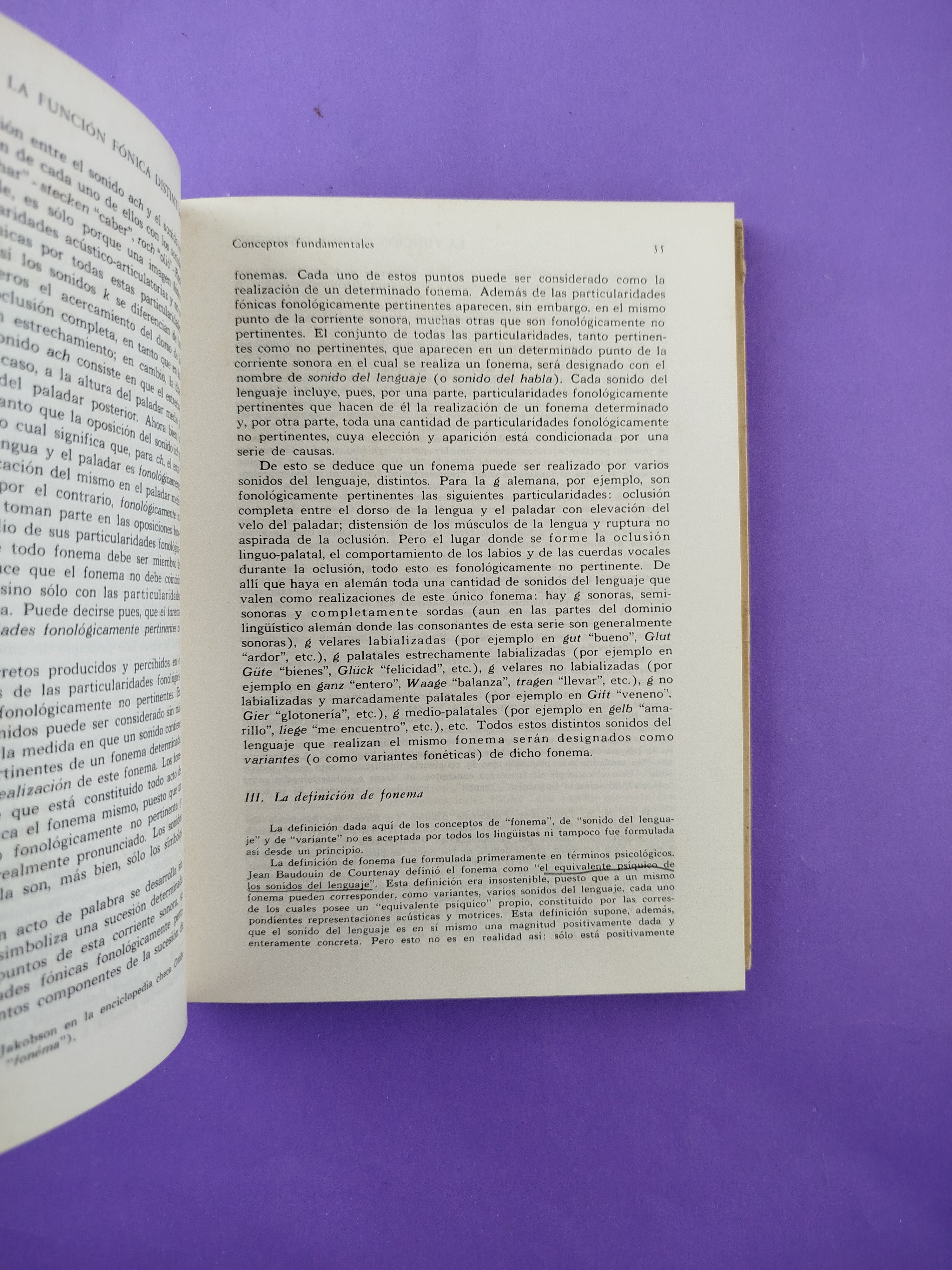 Principios de fonología - Image 3