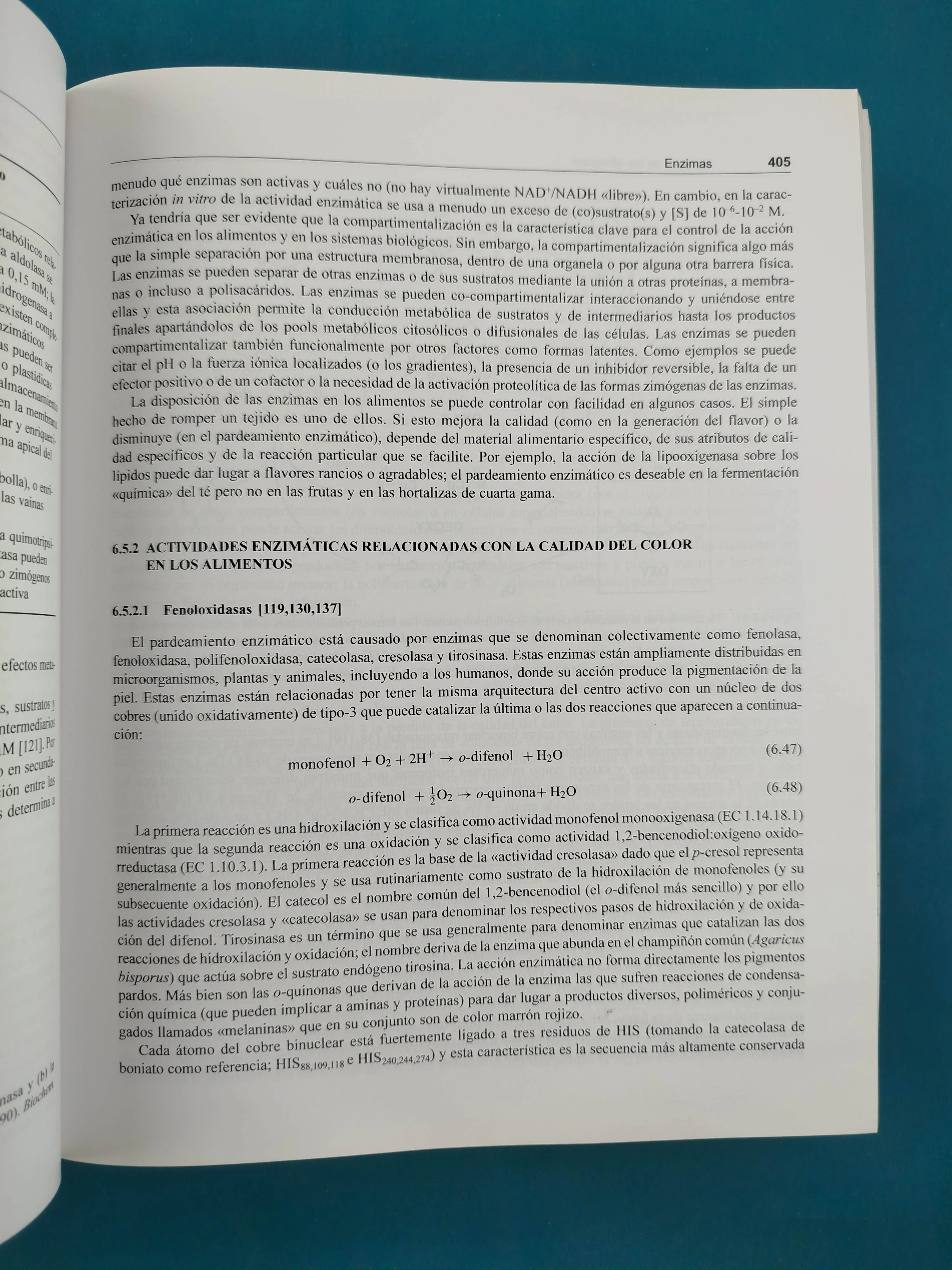 Química de los alimentos tercera edición - Image 4