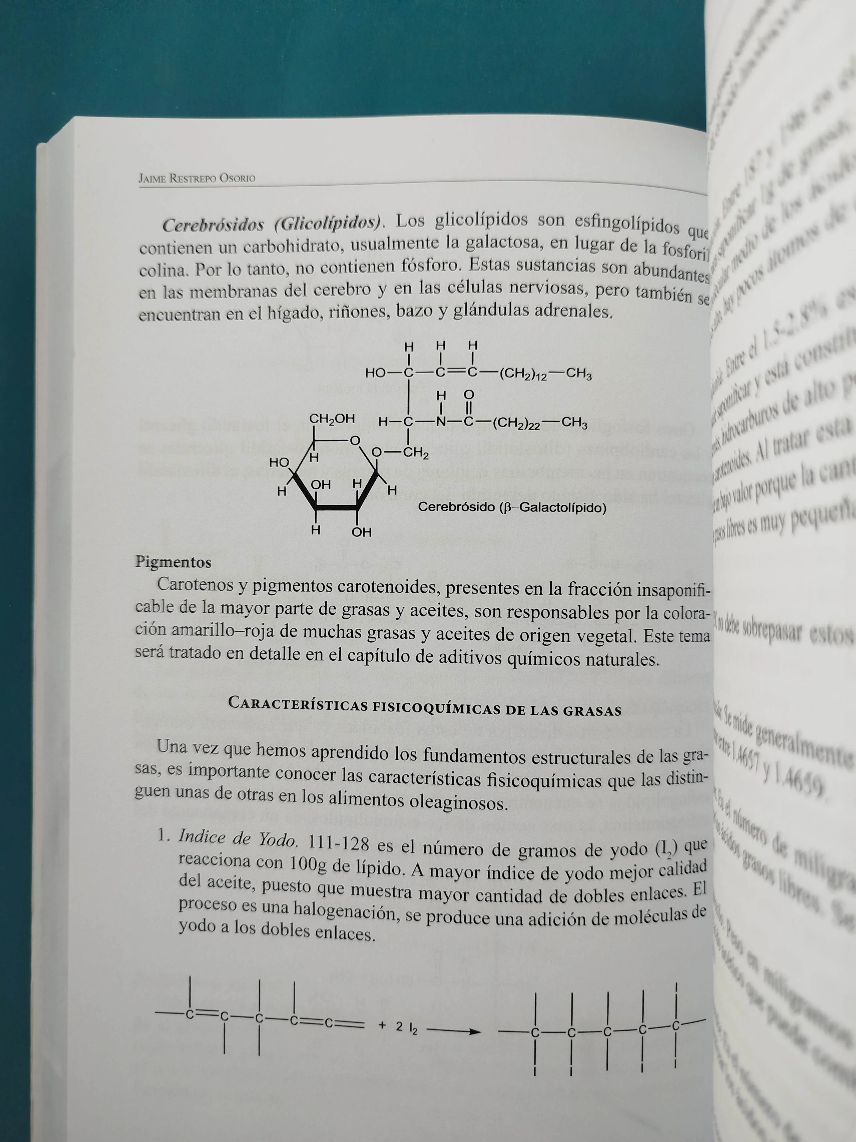 Química de los alimentos un enfoque integral - Image 3