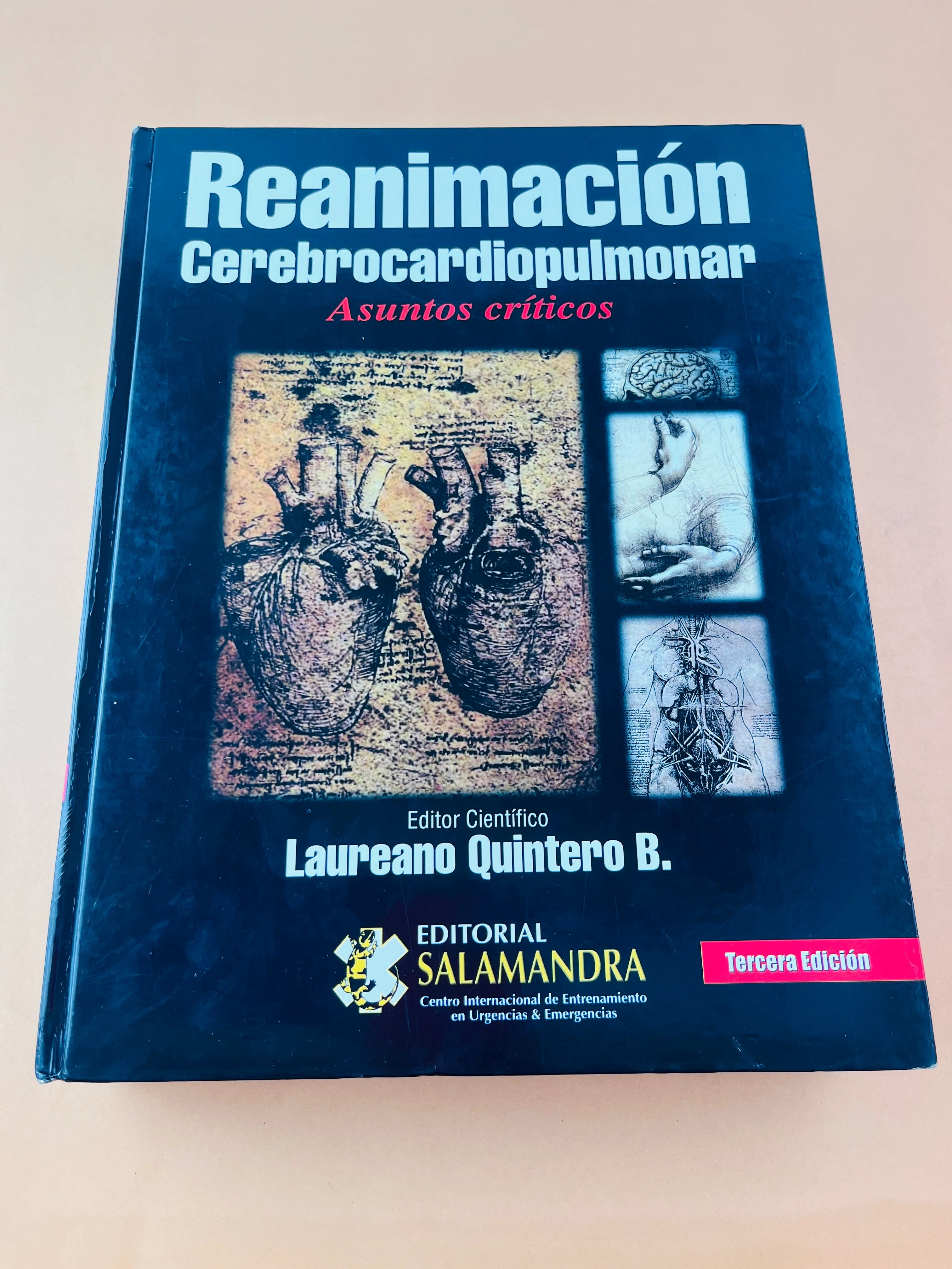 Reanimación Cerebrocardiopumonar asuntos críticos tercera edición - Image 2
