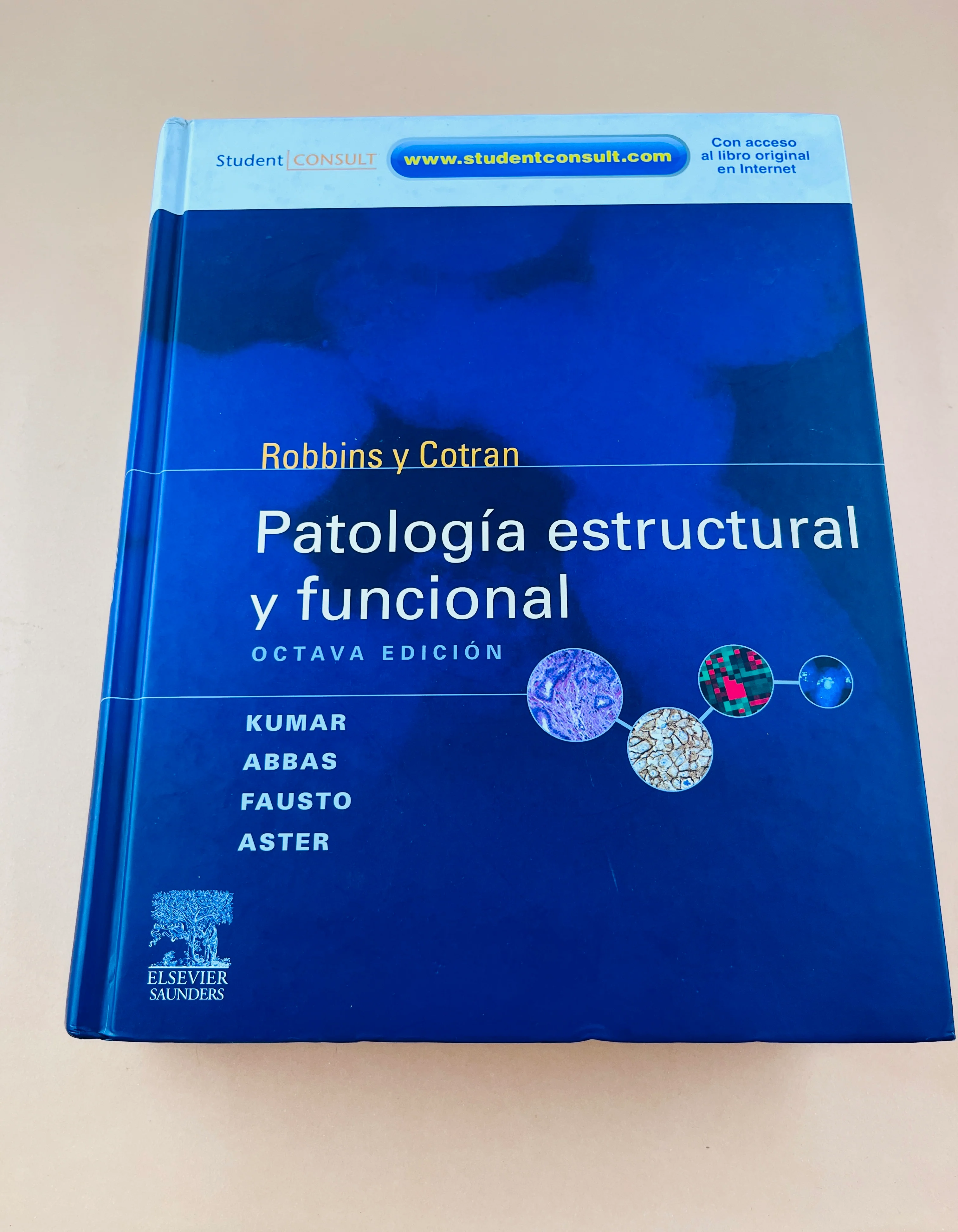 Robbins y Cotran Patología estructural y funcional Octava edición - Image 2
