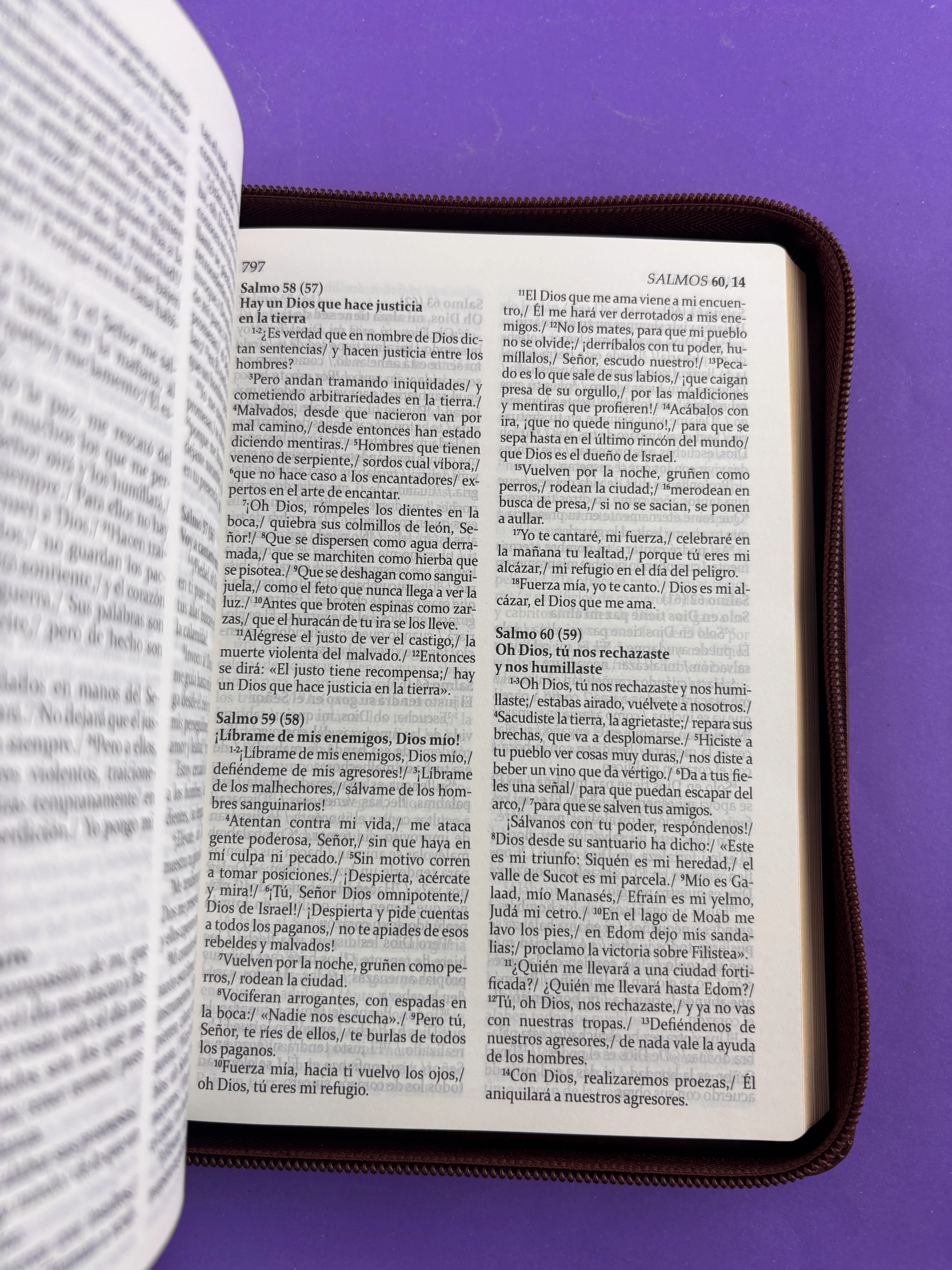 Sagrada biblia de américa colección estuche café - Image 4