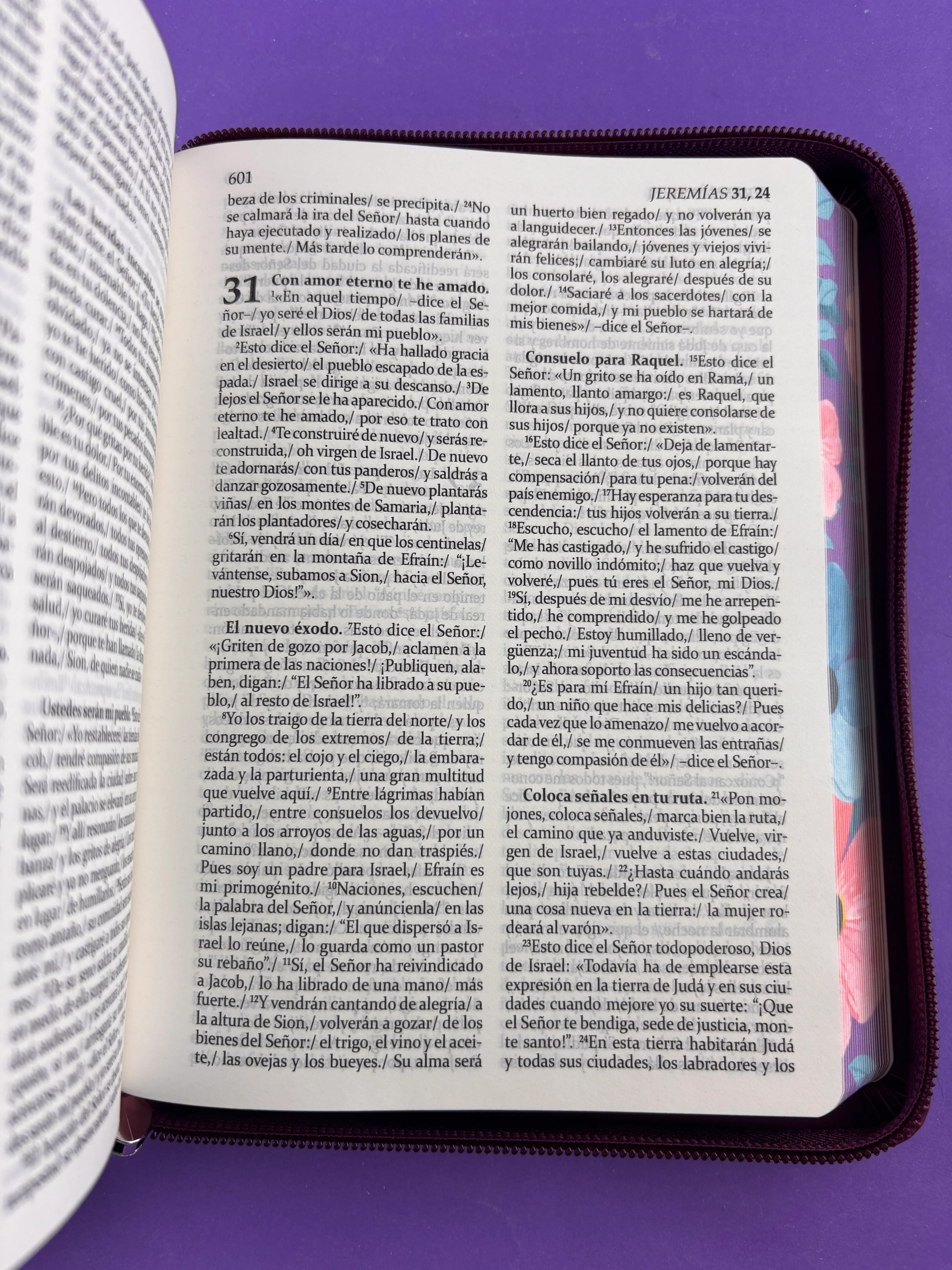 Sagrada biblia de américa colección estuche morada/flores - Image 3