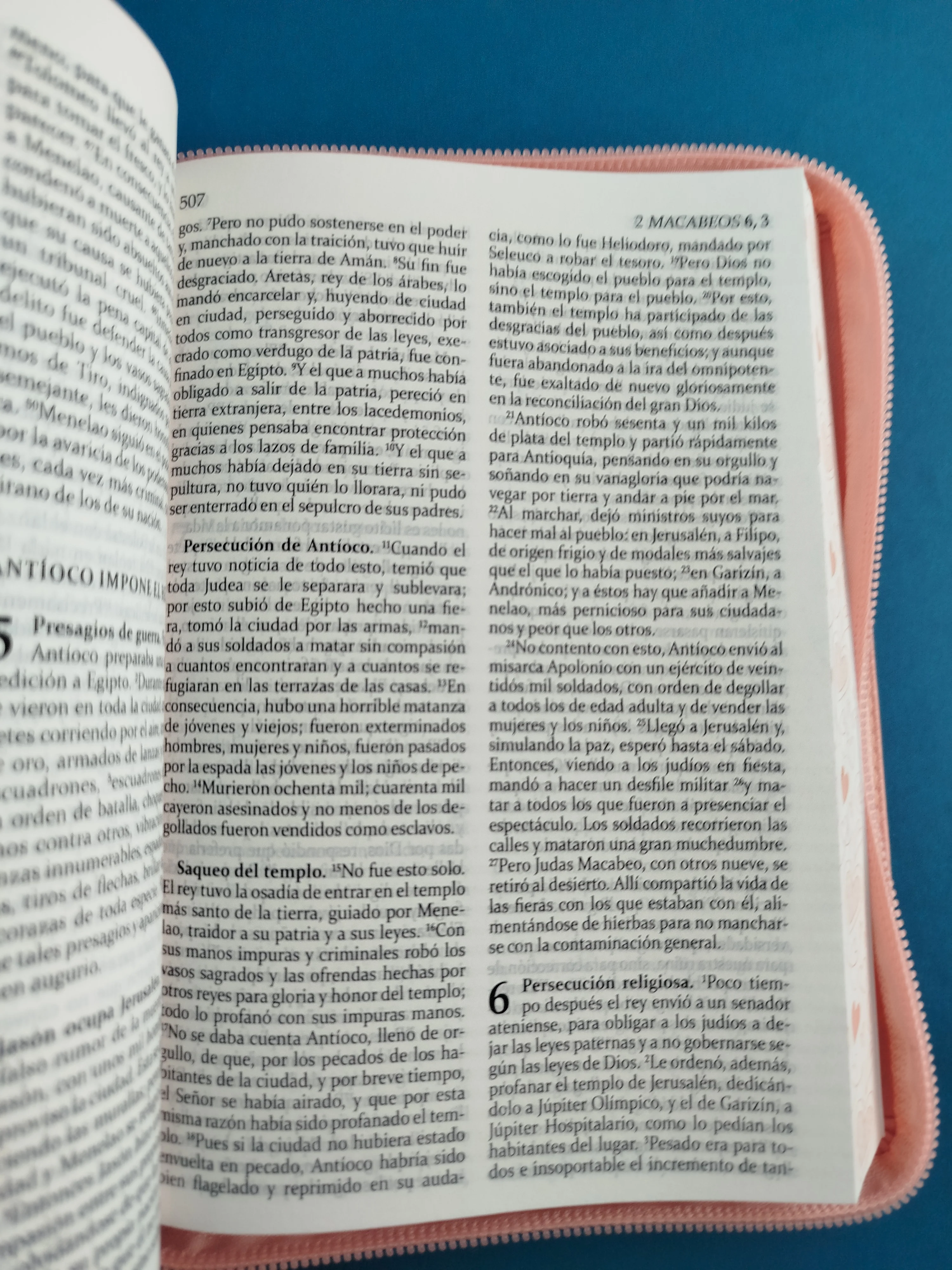 sagrada biblia de américa colección estuche rosada / flores - Image 3