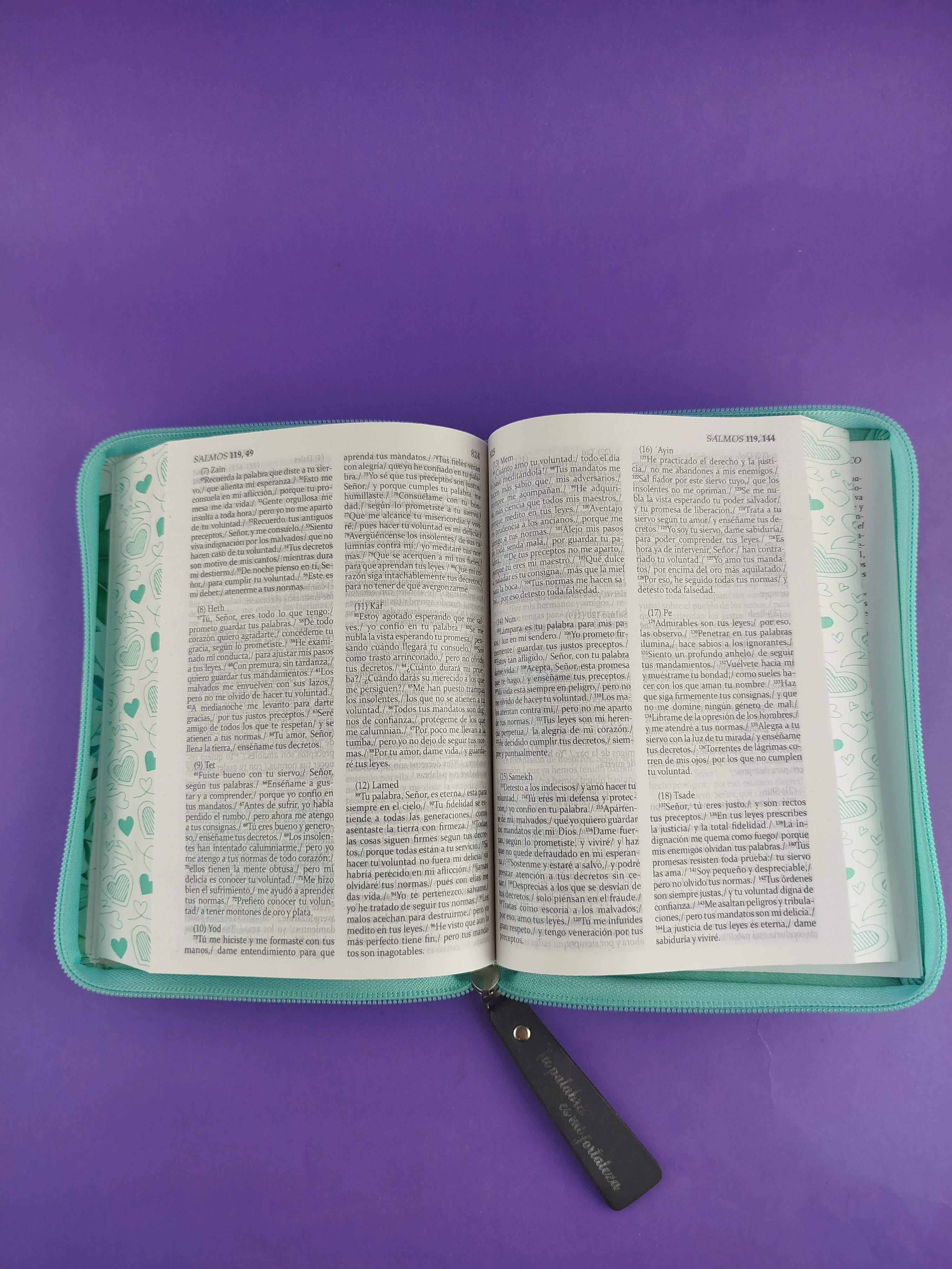 sagrada biblia de américa colección estuche verde menta / rosas - Image 4