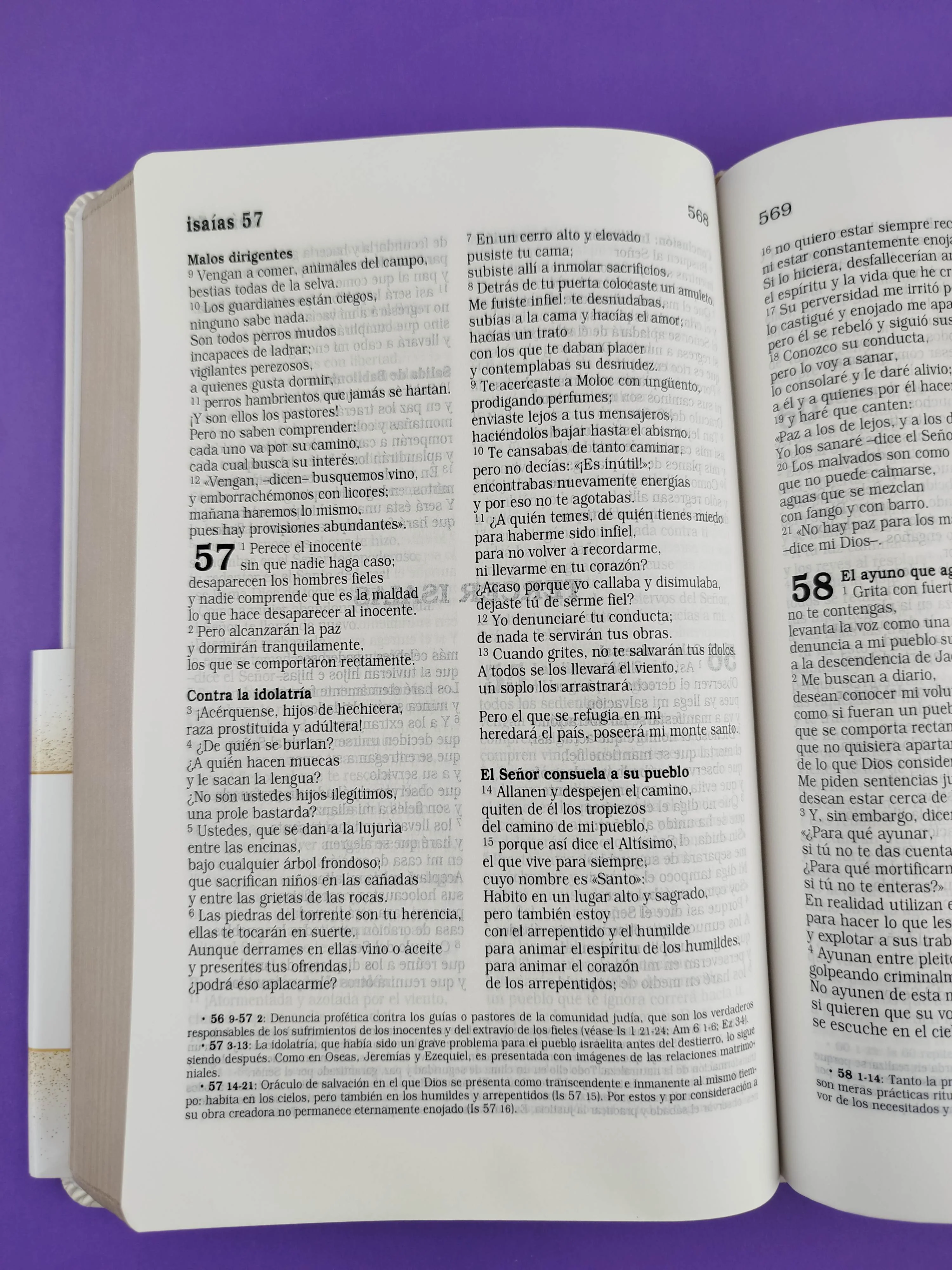 Sagrada biblia edición para días especiales - Image 3