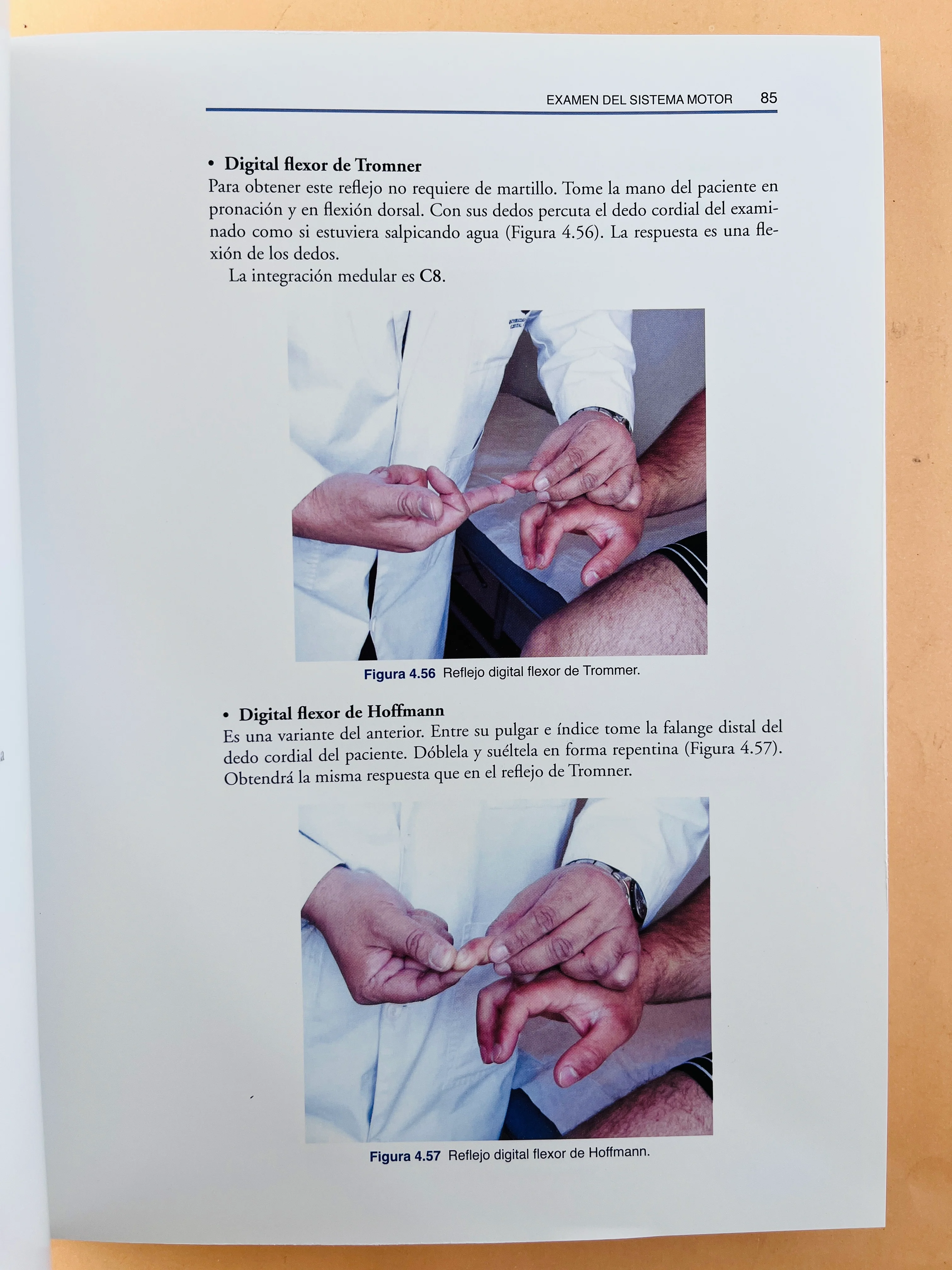 Semiología y fundamentos de la Neurología Clínica segunda edición - Image 5