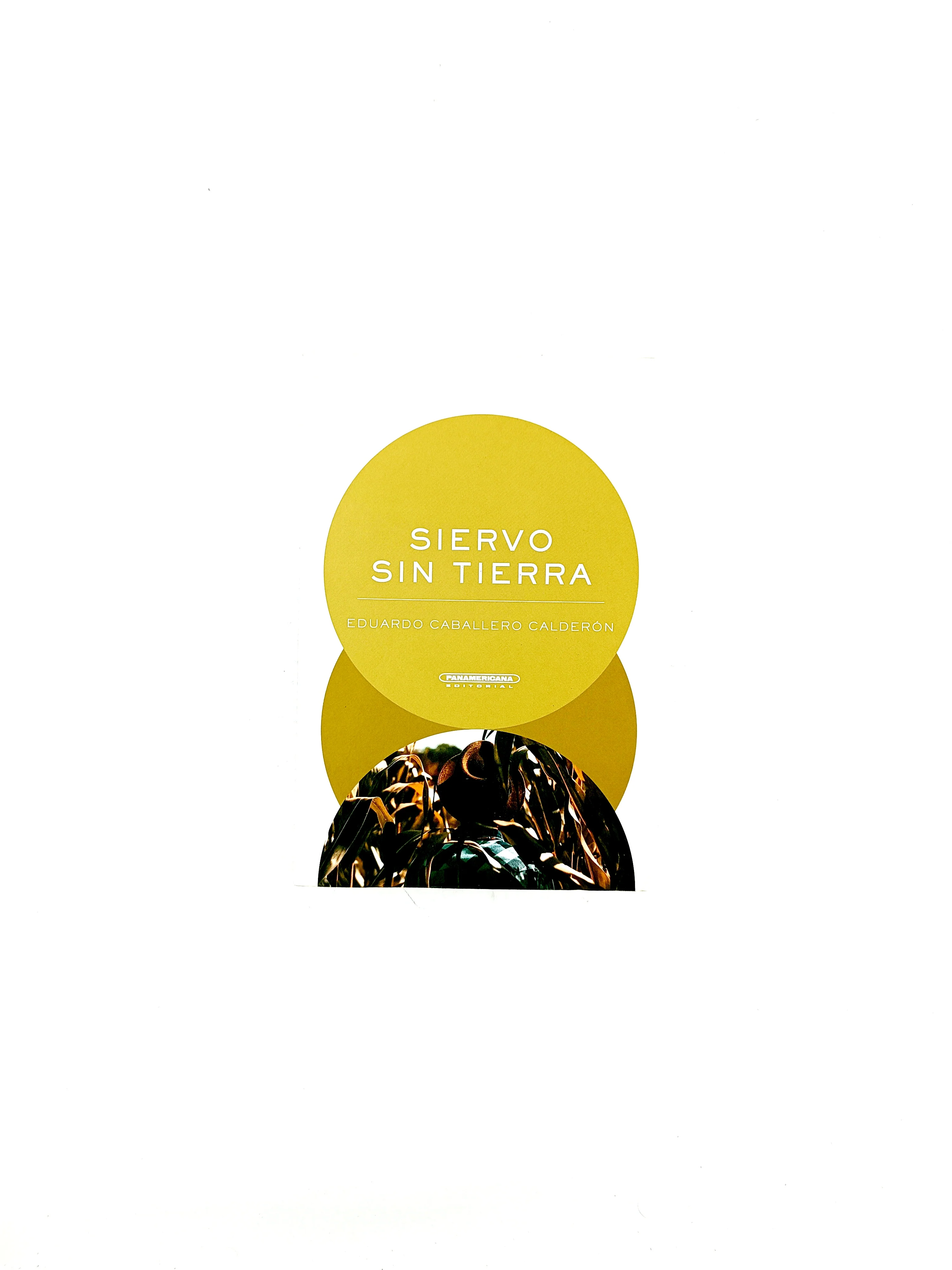 Siervo sin tierra