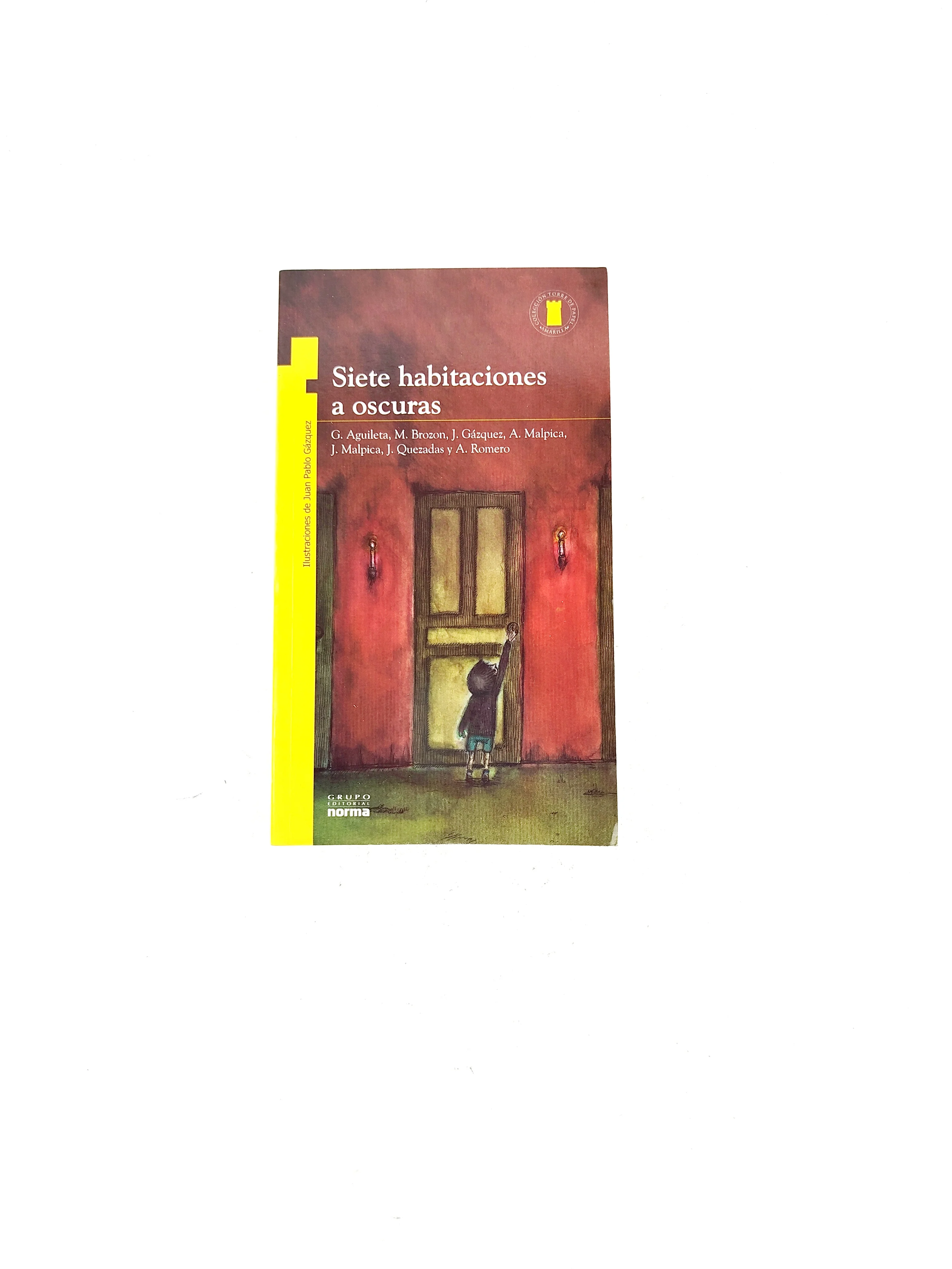 Siete habitaciones a oscuras libro
