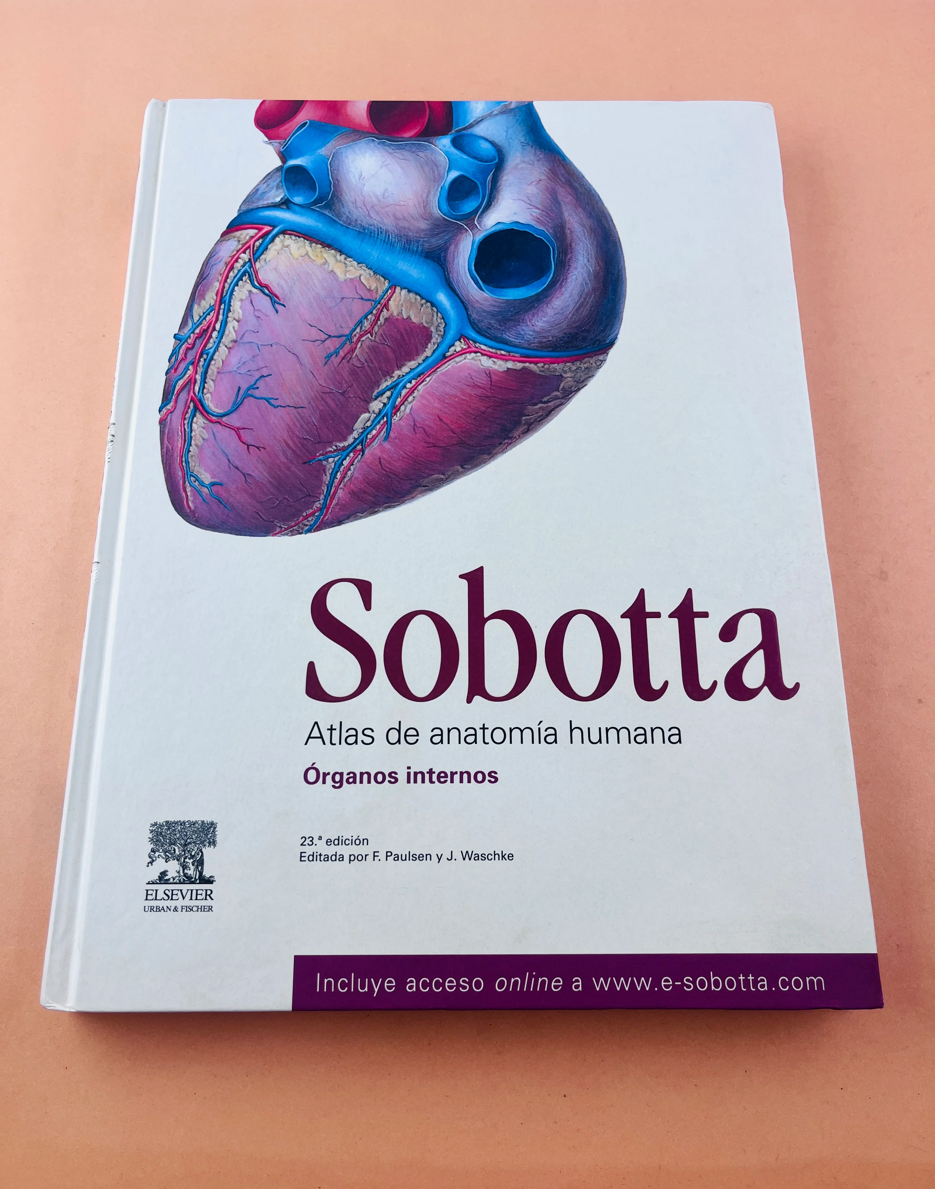 Sobotta Colección Atlas de anatomía humana 23a edición 3 volumen Cabeza, cuello y neuroanatomía. Órganos internos, Anatomía general y aparato locomotor - Image 2