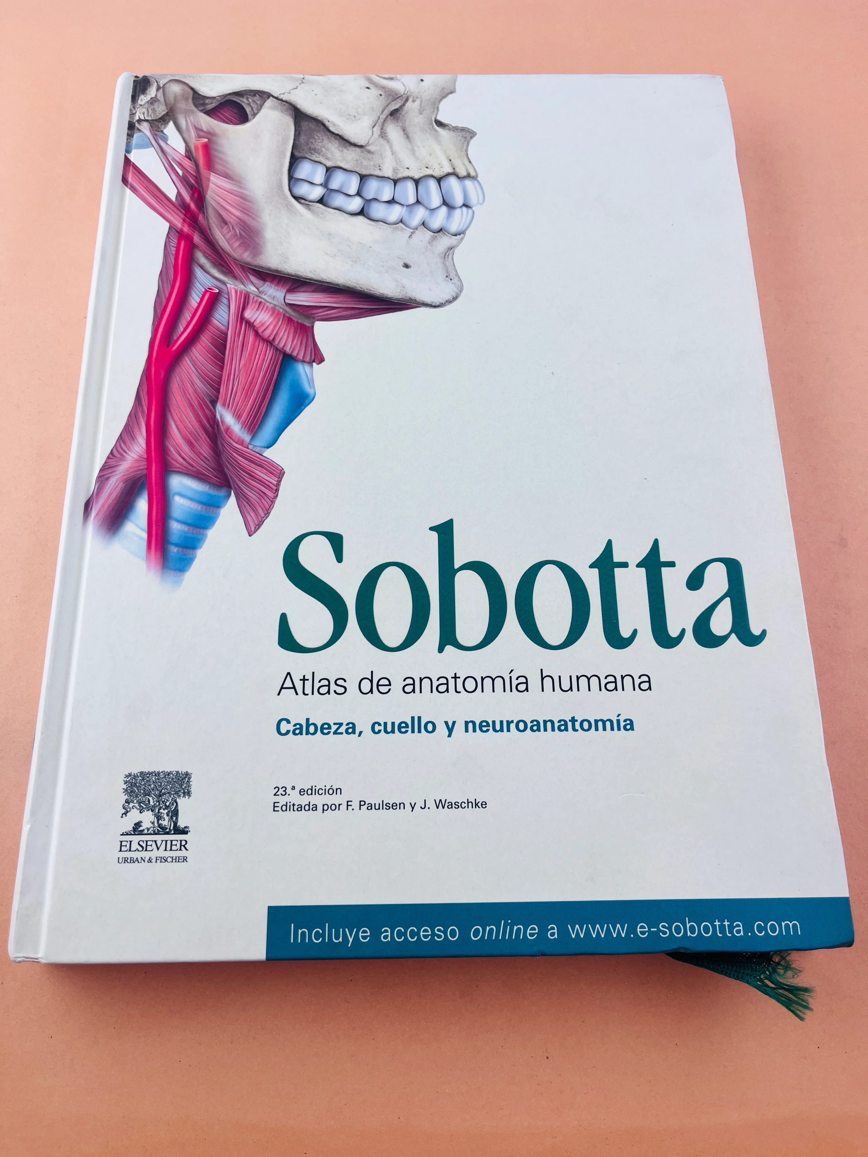 Sobotta Colección Atlas de anatomía humana 23a edición 3 volumen Cabeza, cuello y neuroanatomía. Órganos internos, Anatomía general y aparato locomotor - Image 6