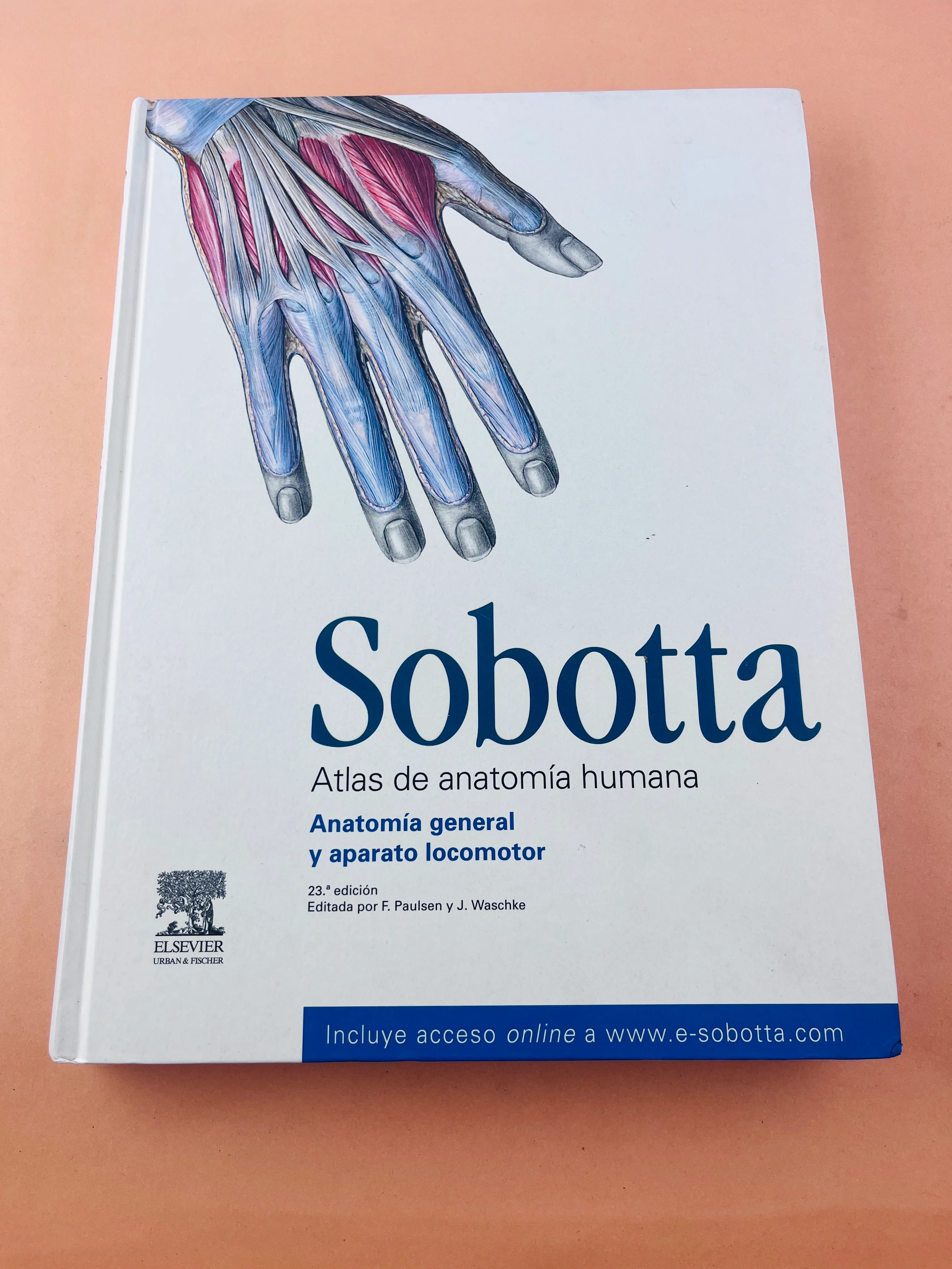 Sobotta Colección Atlas de anatomía humana 23a edición 3 volumen Cabeza, cuello y neuroanatomía. Órganos internos, Anatomía general y aparato locomotor - Image 9