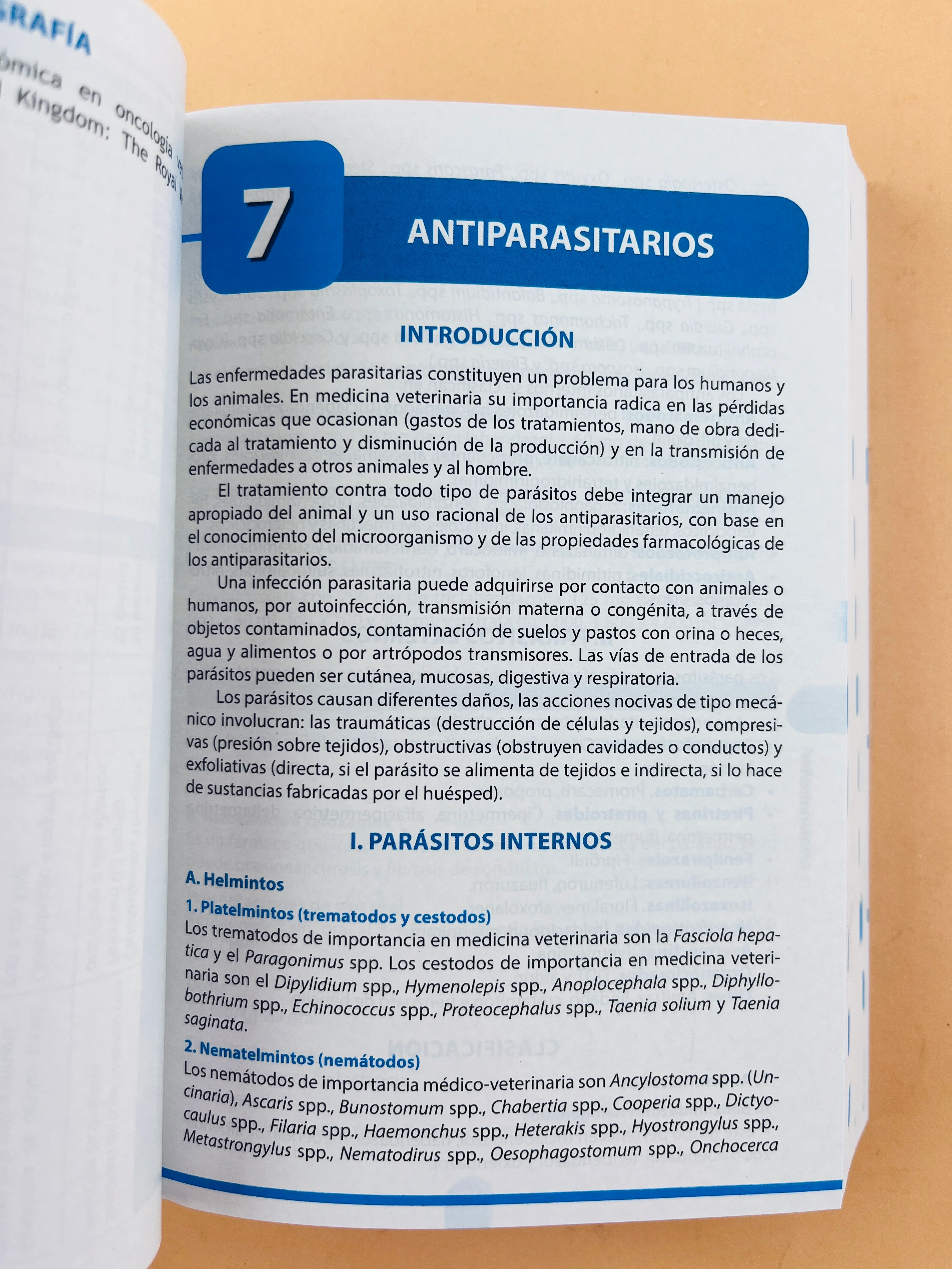 Terapéutica veterinaria 7 edición - Image 3