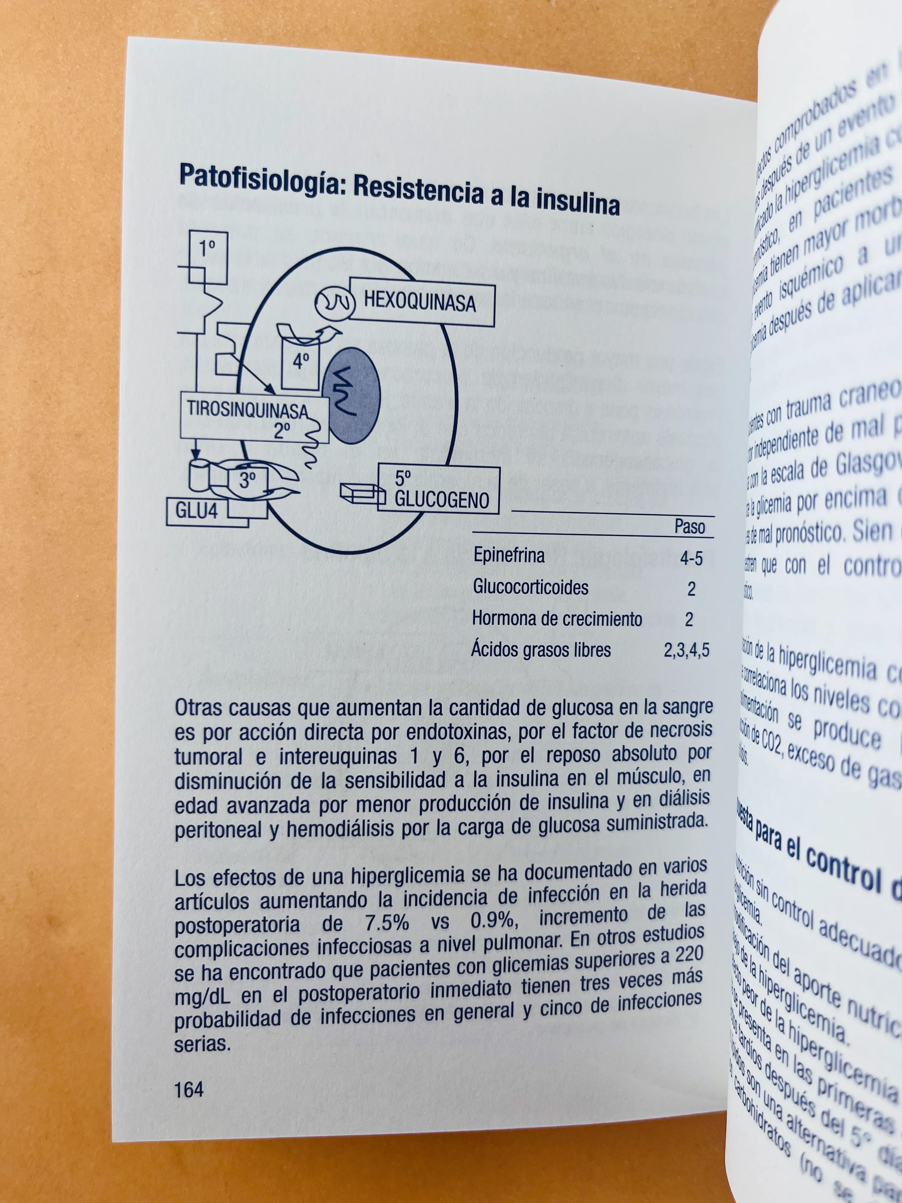 Terapia nutricional y metabólica del paciente hospitalizado - Image 3