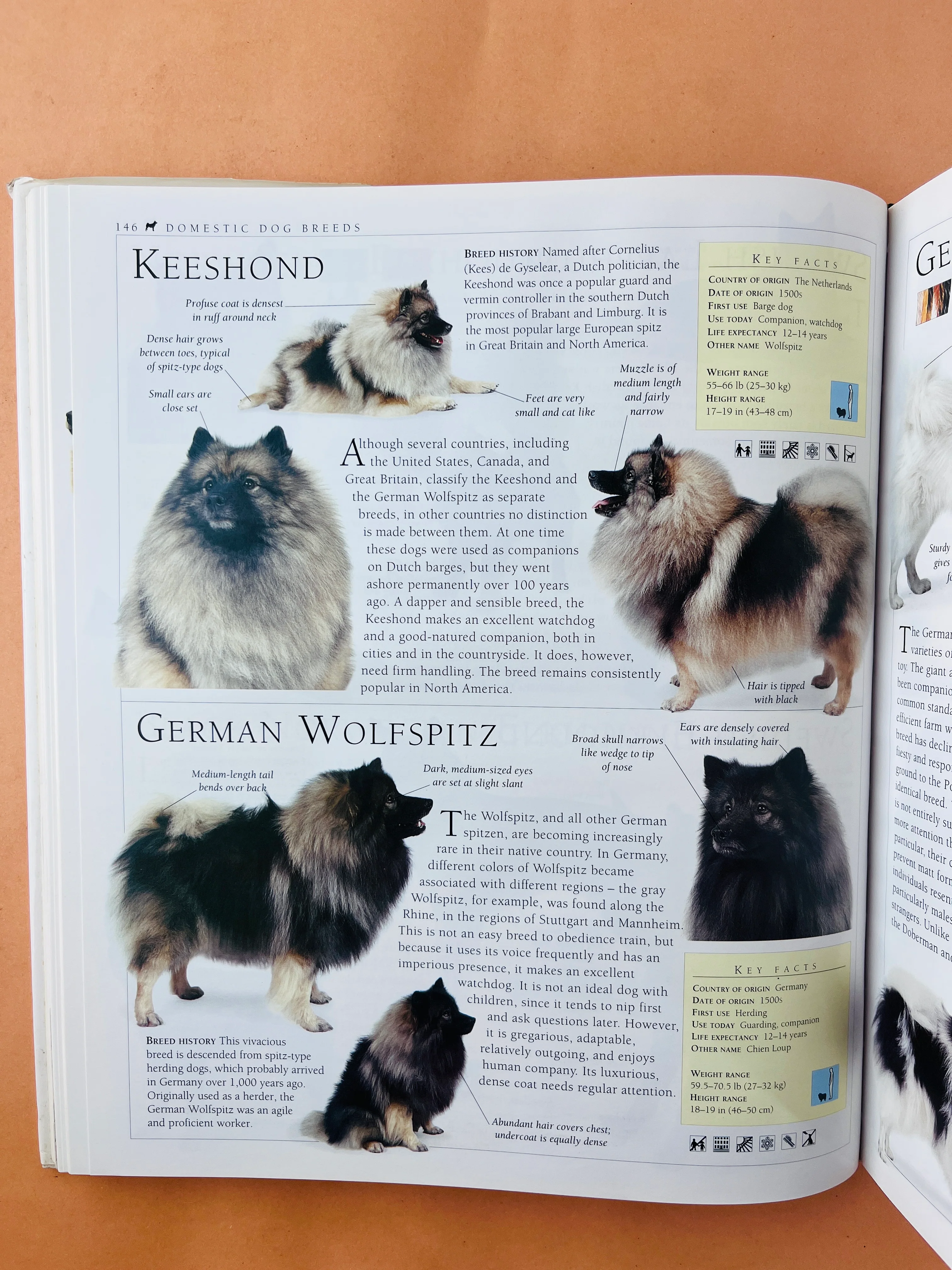 The encyclopedia of the dog - Image 5