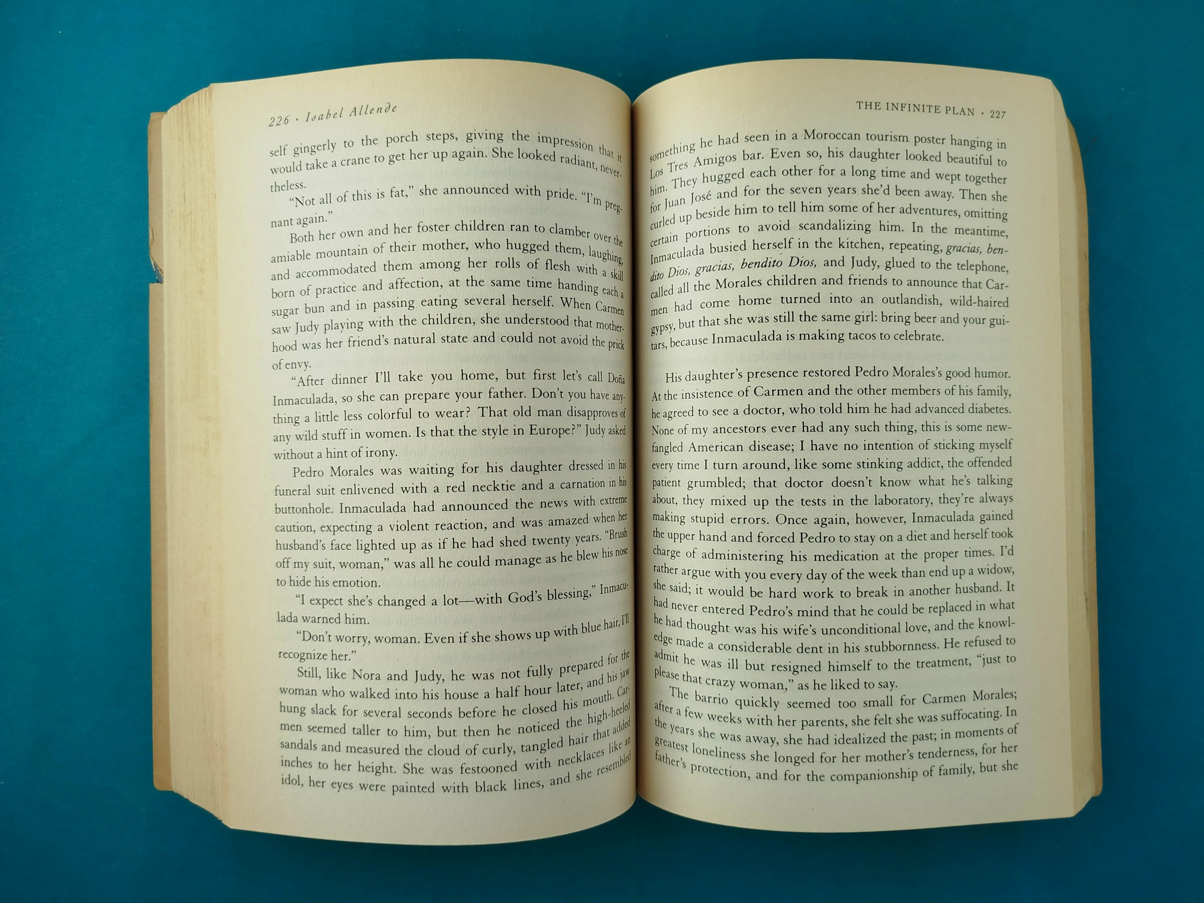 The Infinite Plan - Image 3