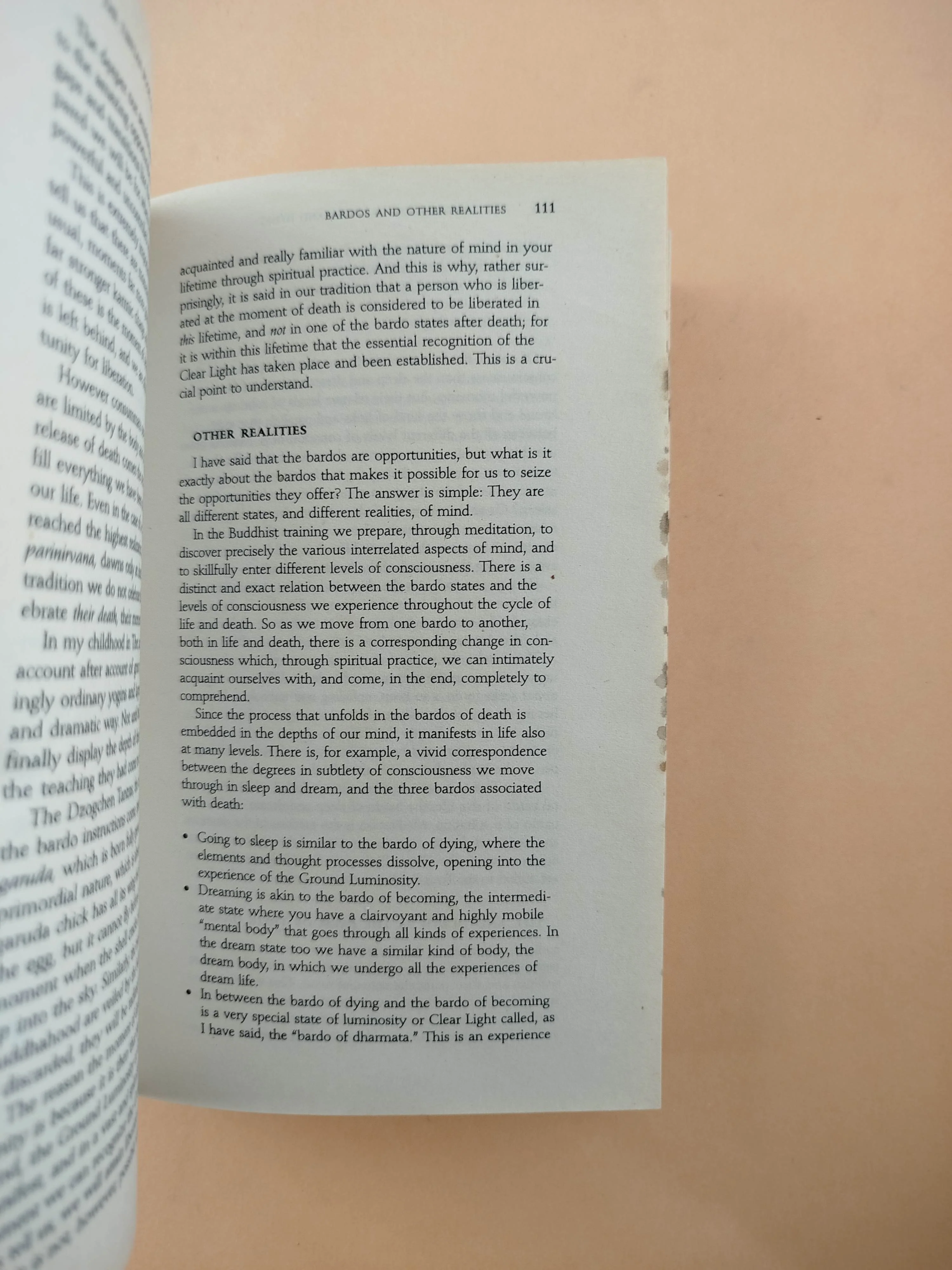 The Tibetan Book of Living and Dying - Image 2