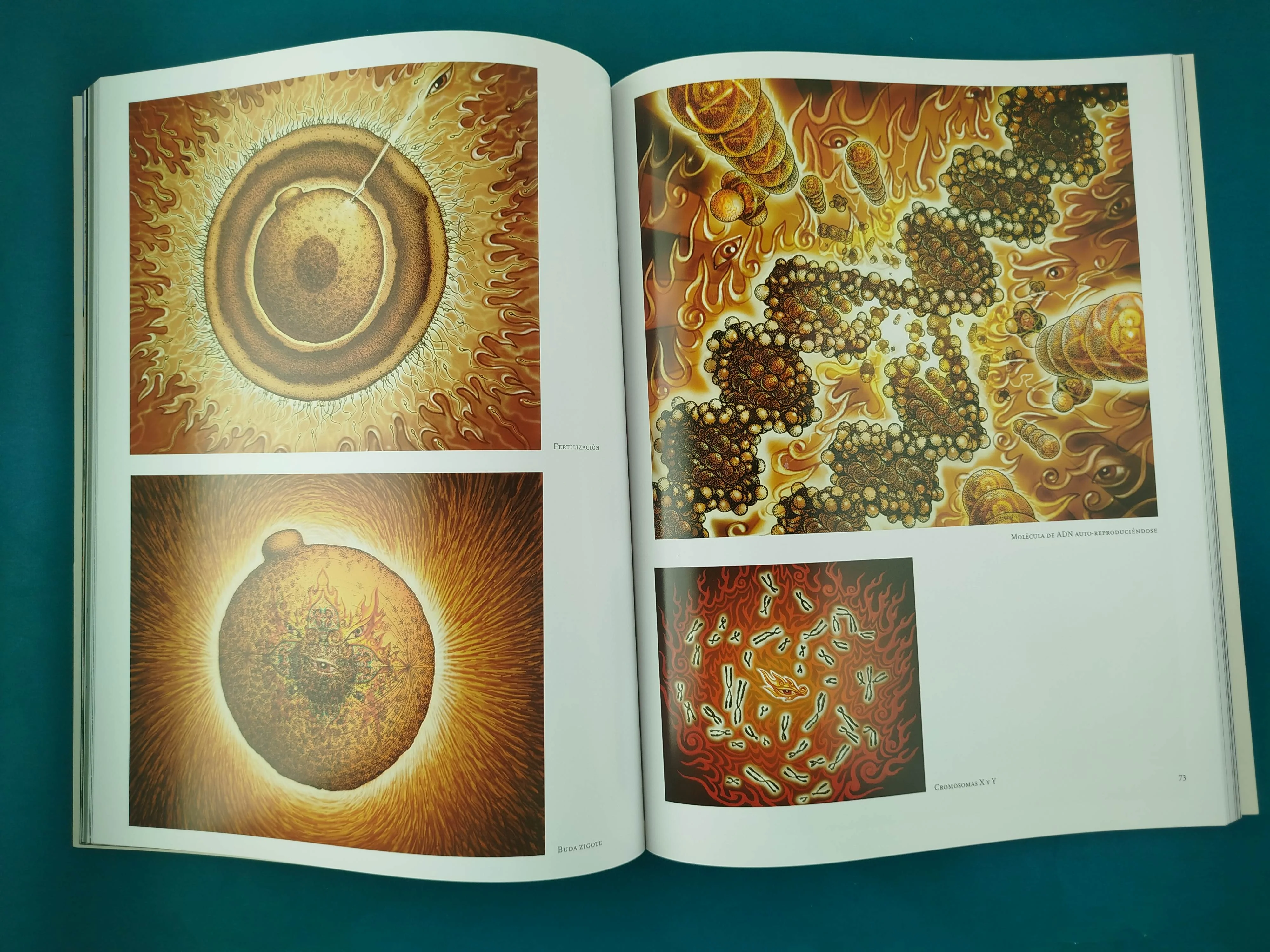 Transfiguraciones - Image 3