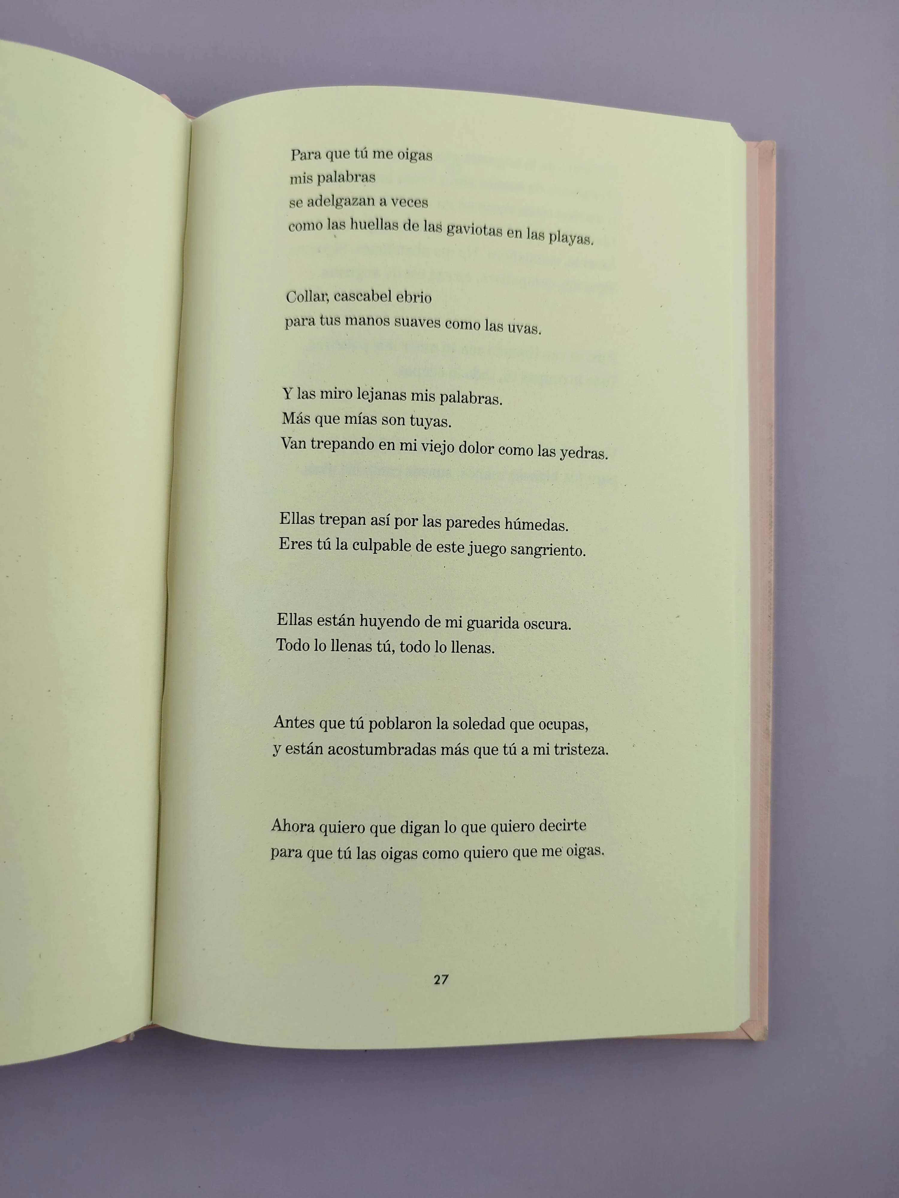 Veinte poemas de amor y una canción desesperada - Image 4