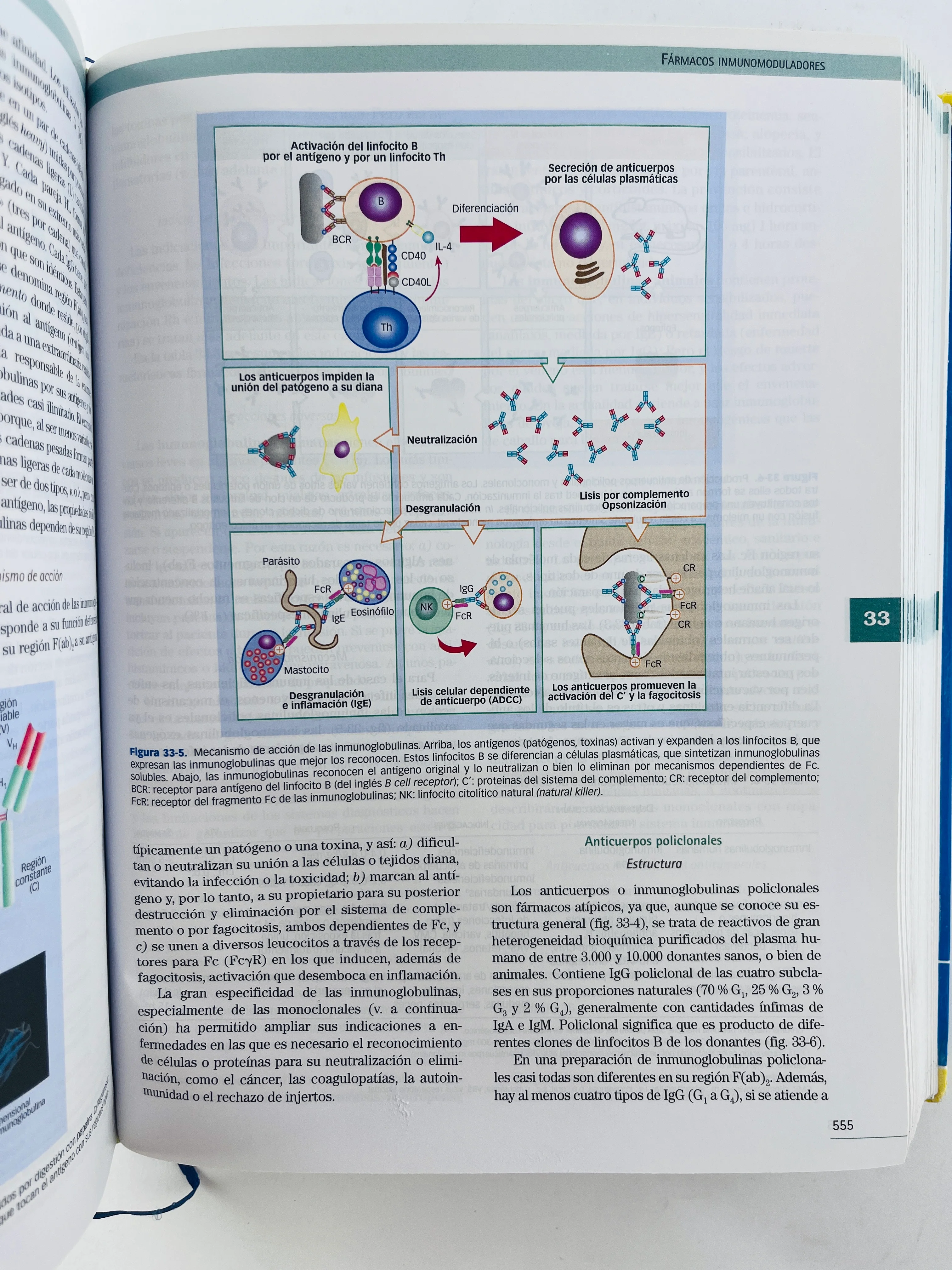 Velázquez Farmacología Básica Y Clínica 18a. edición - Image 5